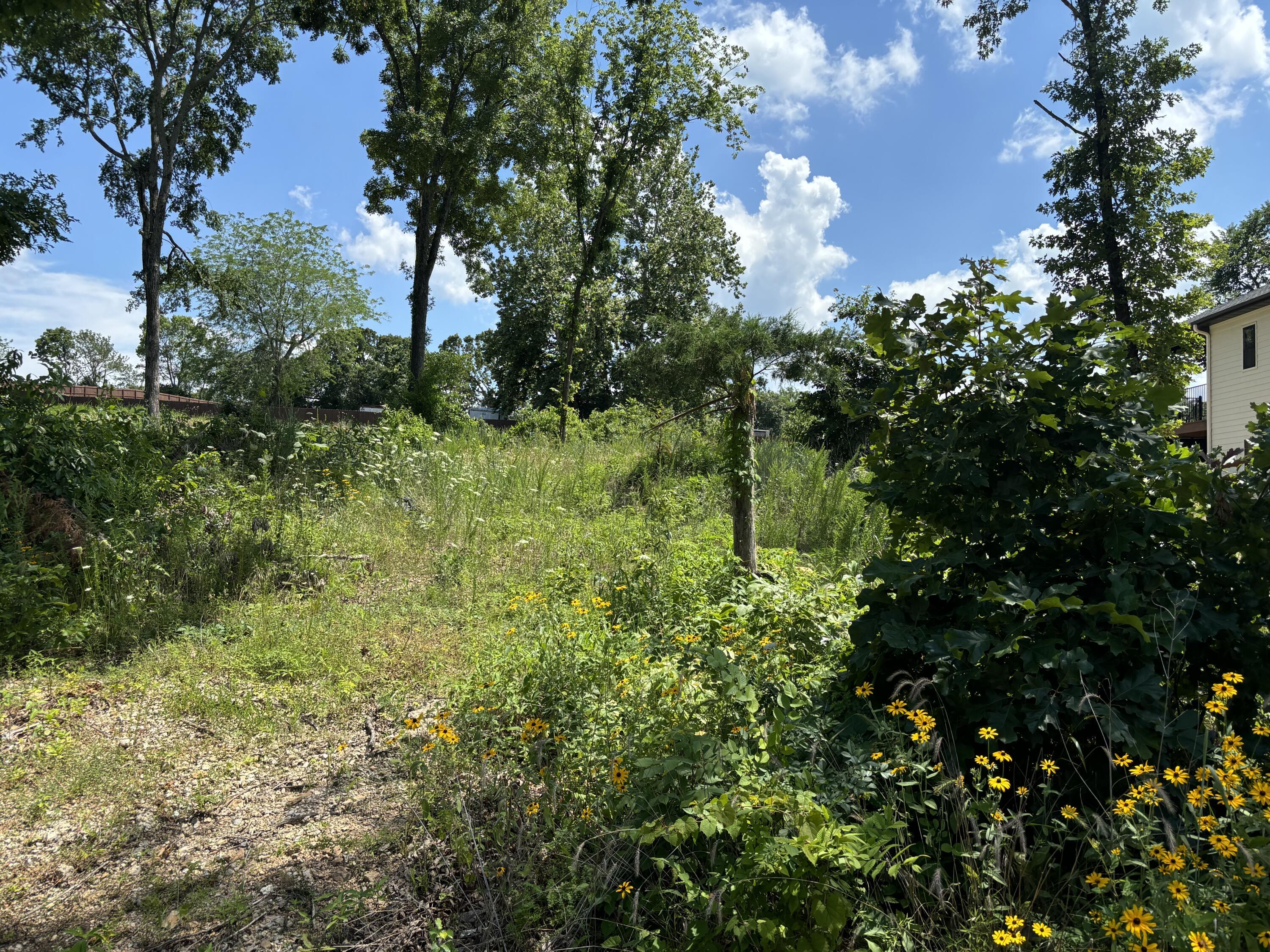 Image 3 Image 3