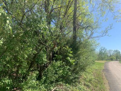 000 County Road 865