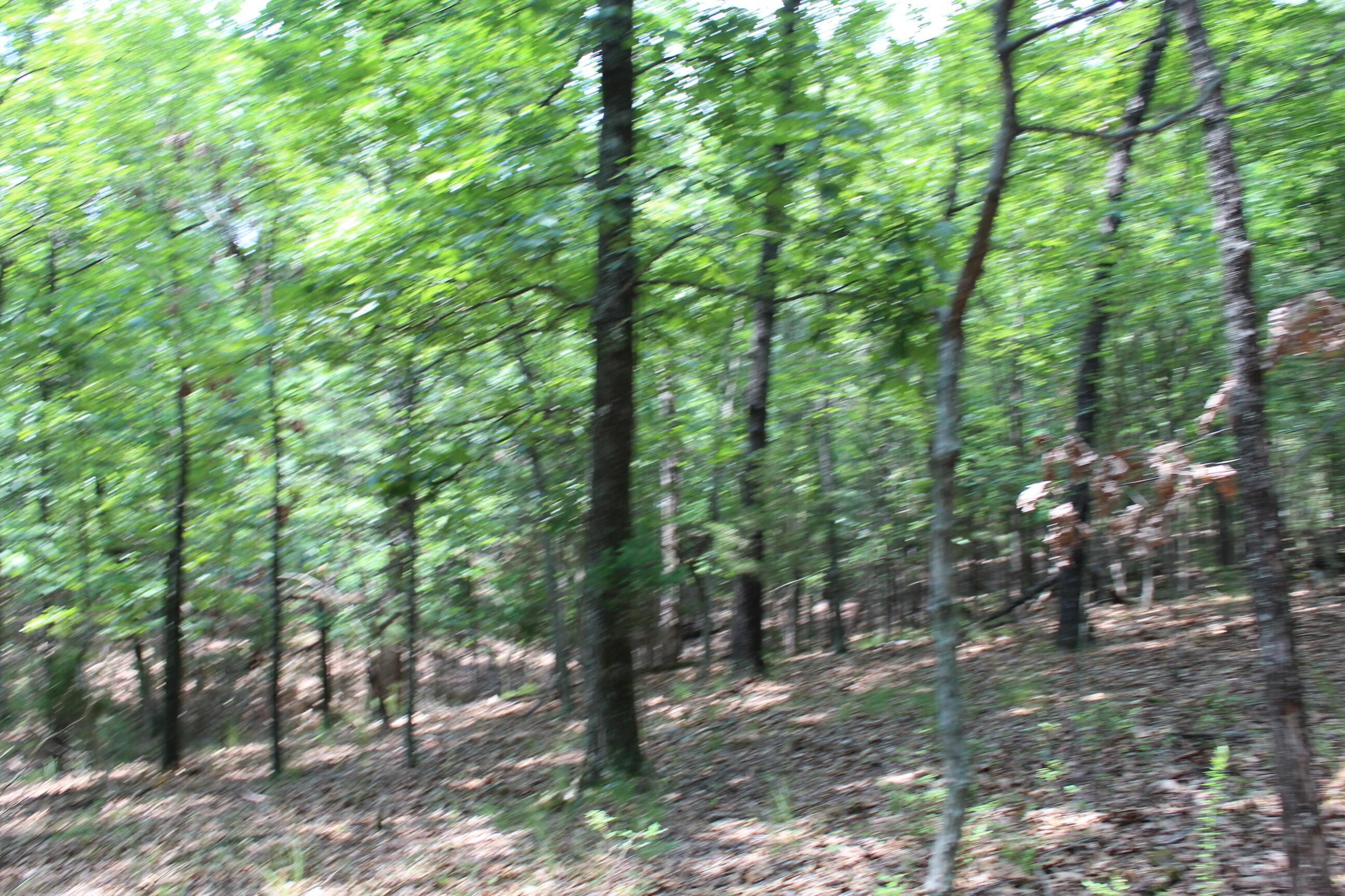 Image 2 Image 2
