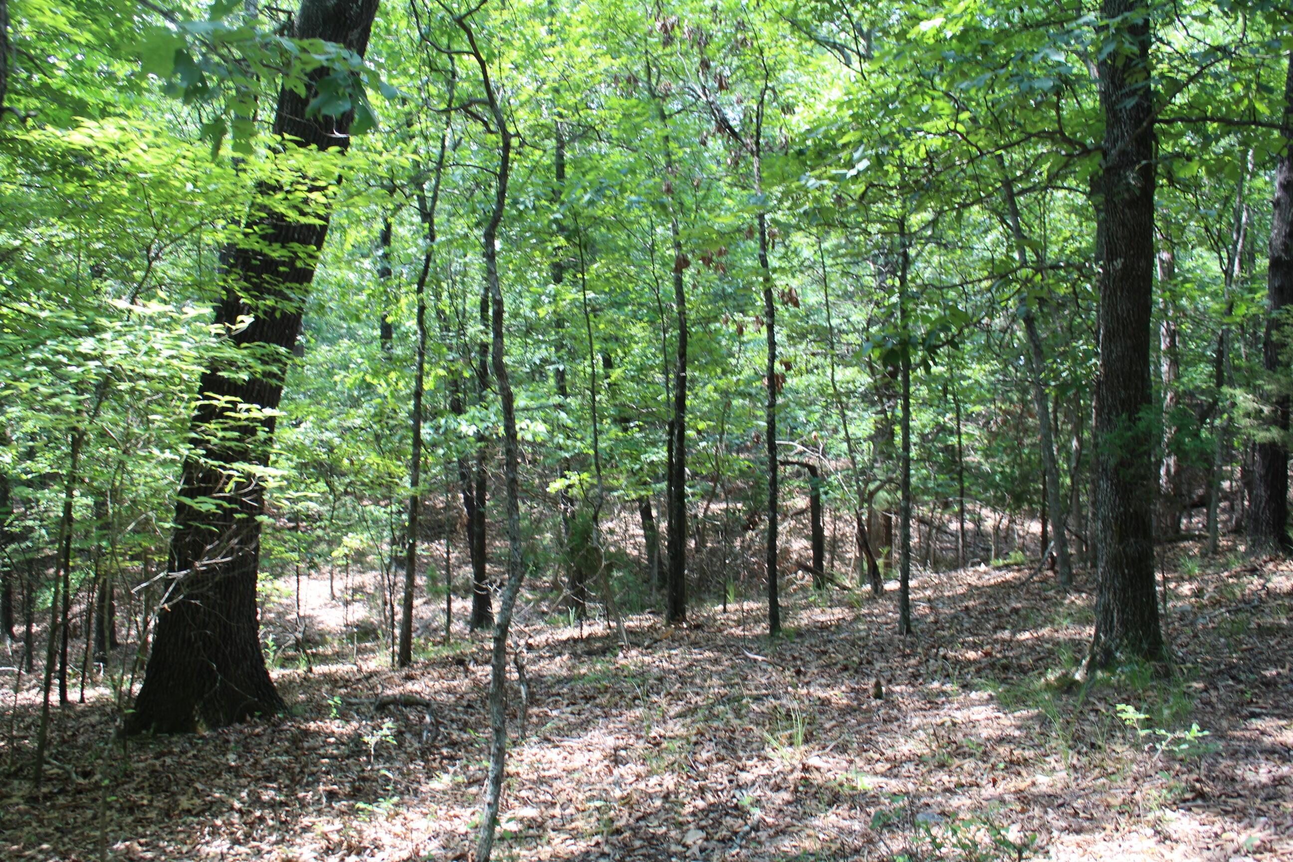 Image 3 Image 3