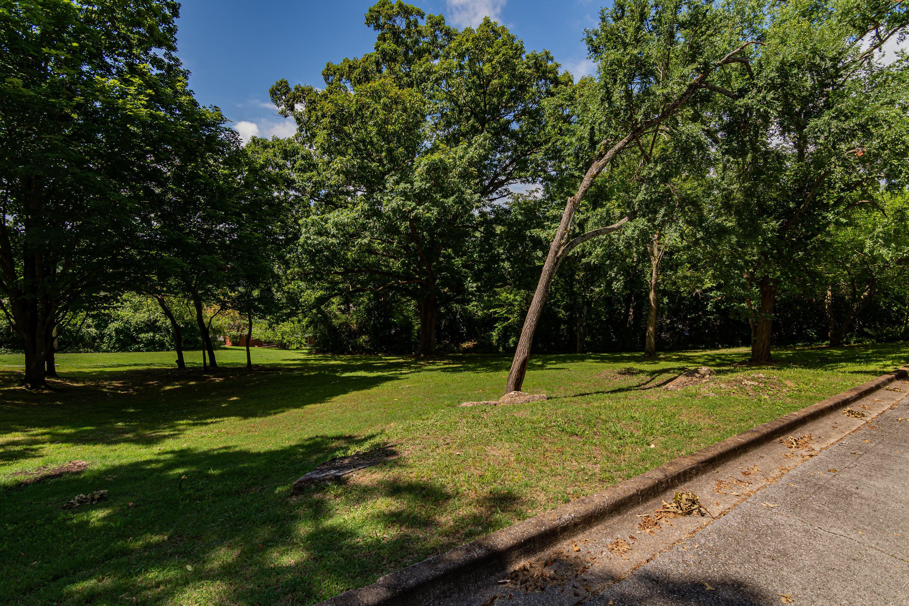 000 Ellison Avenue, Branson, MO lhrmls01597019