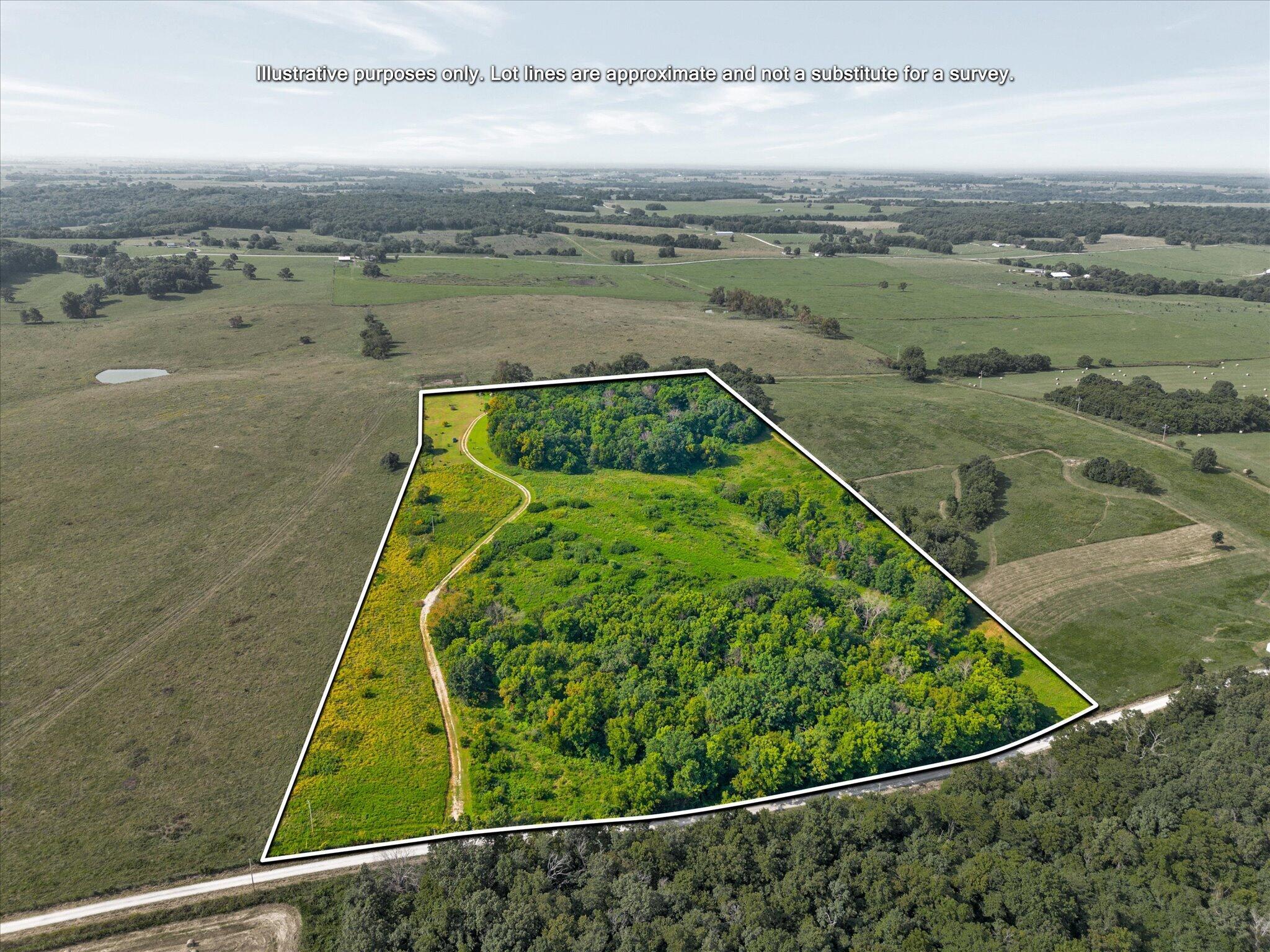 Image 4 Image 4