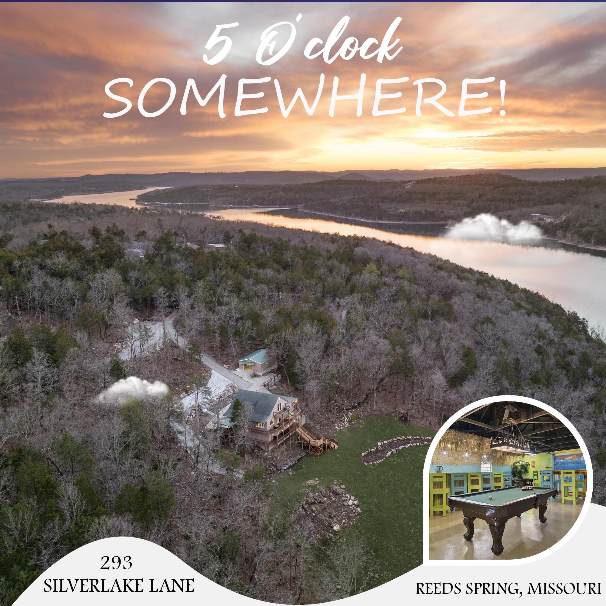 293 Silverlake Lane, Reeds Spring, MO - lhrmls-02075701 - LakeHomes.com