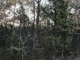Tbd Bluewing Road