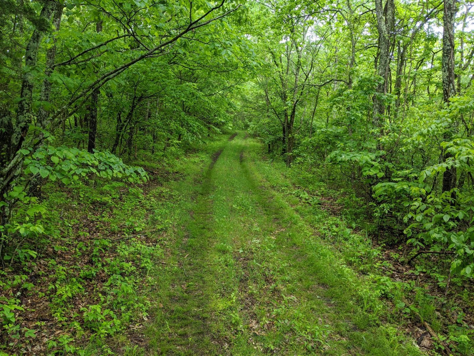 Image 1 Image 1