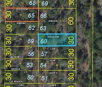 Lot 60 Gumbo Woods