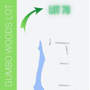 Lot 79- Gumbo Woods