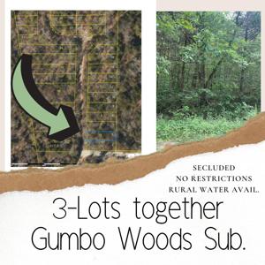 Lots 3,5,6 Gumbo Woods
