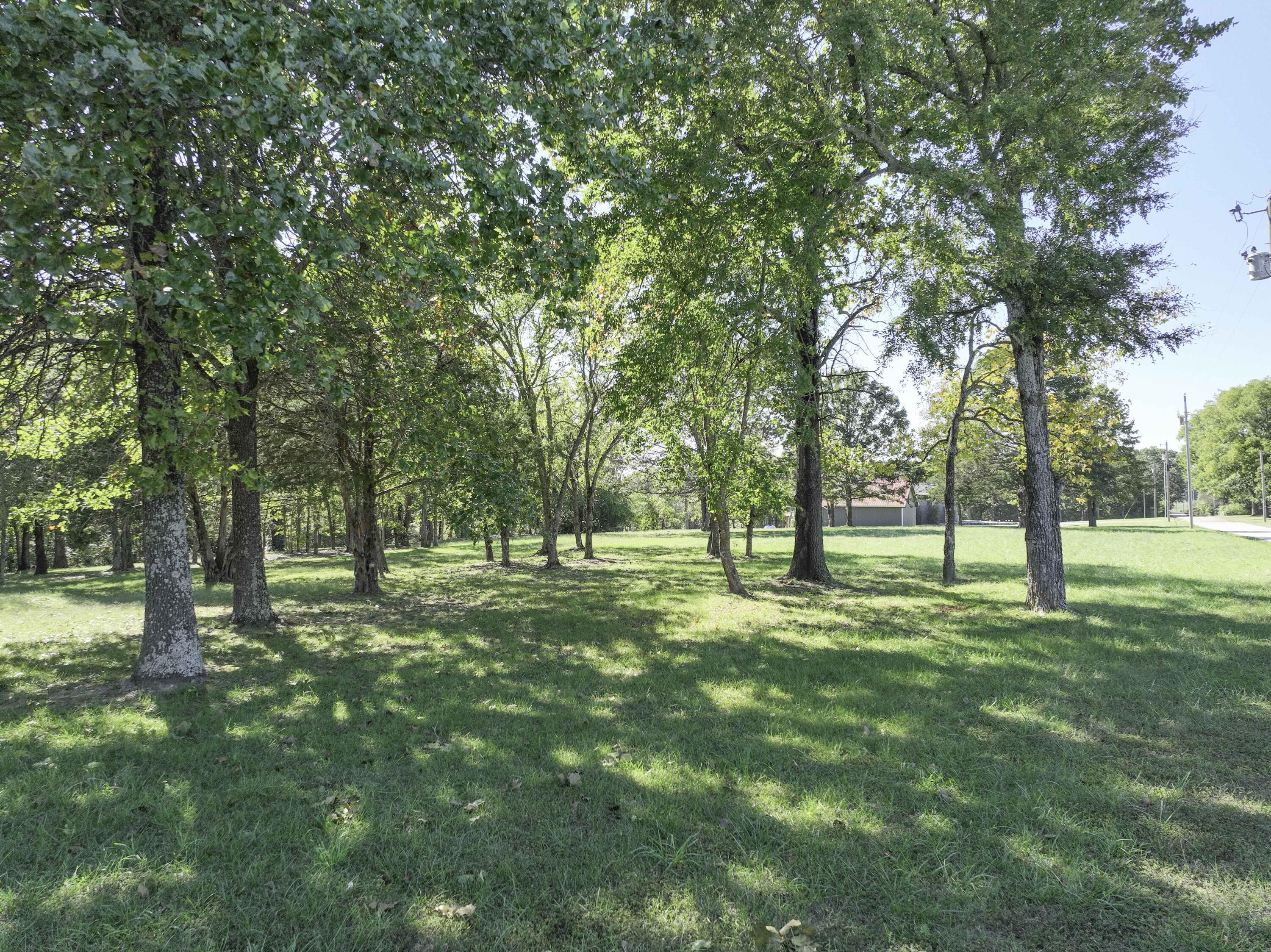Image 4 Image 4