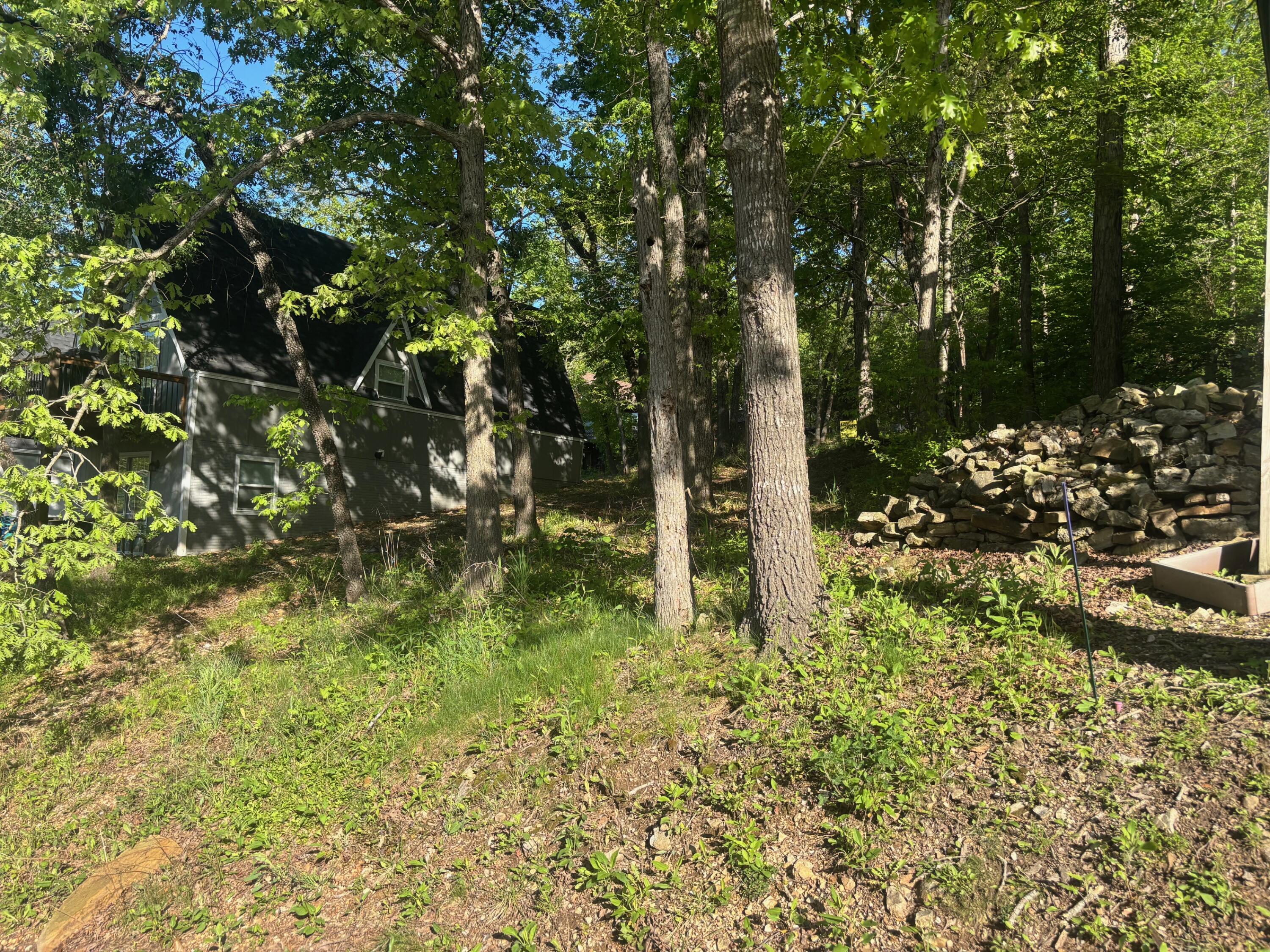 Image 1 Image 1