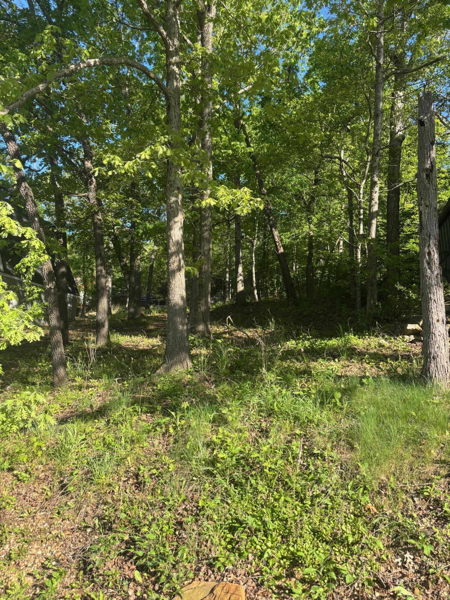Image 2 Image 2