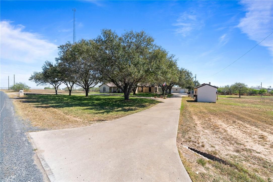 Image 3: Beautiful mature trees