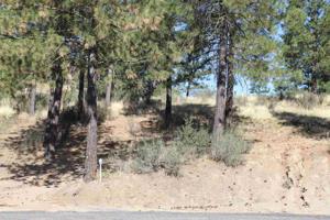 25655 E-Pine Cone Ct