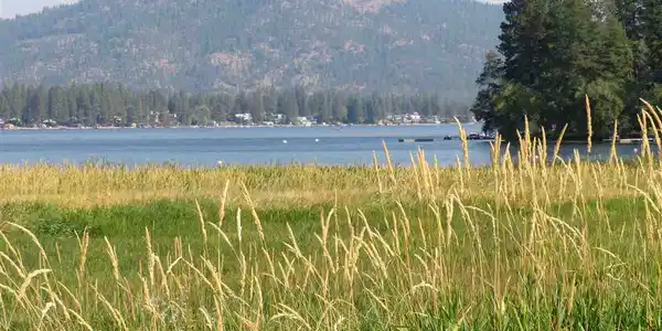 43056 D S Loon Lake