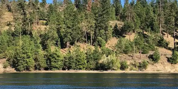 2296 K EAGLE RIVER