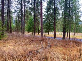 TBD N HWY 25