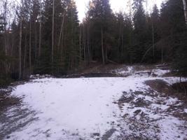 NNA Cottonwood
