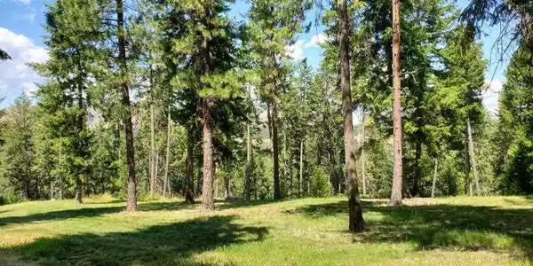Lot F Marcus Campground