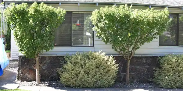 1414 S Colby