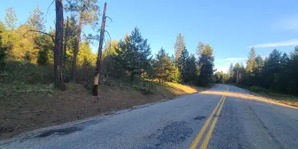 000 Elk Chattaroy