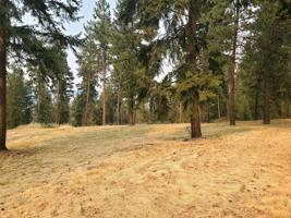 LOT C Marcus Campground