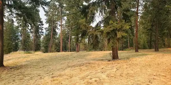 LOT C Marcus Campground