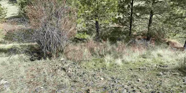 41000 N-Miles Creston Rd