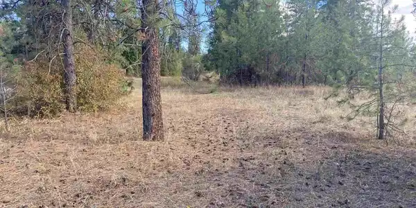 39941 Loon Lake