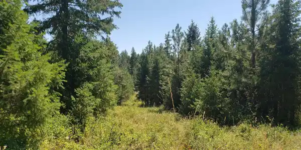 3900 State Rd