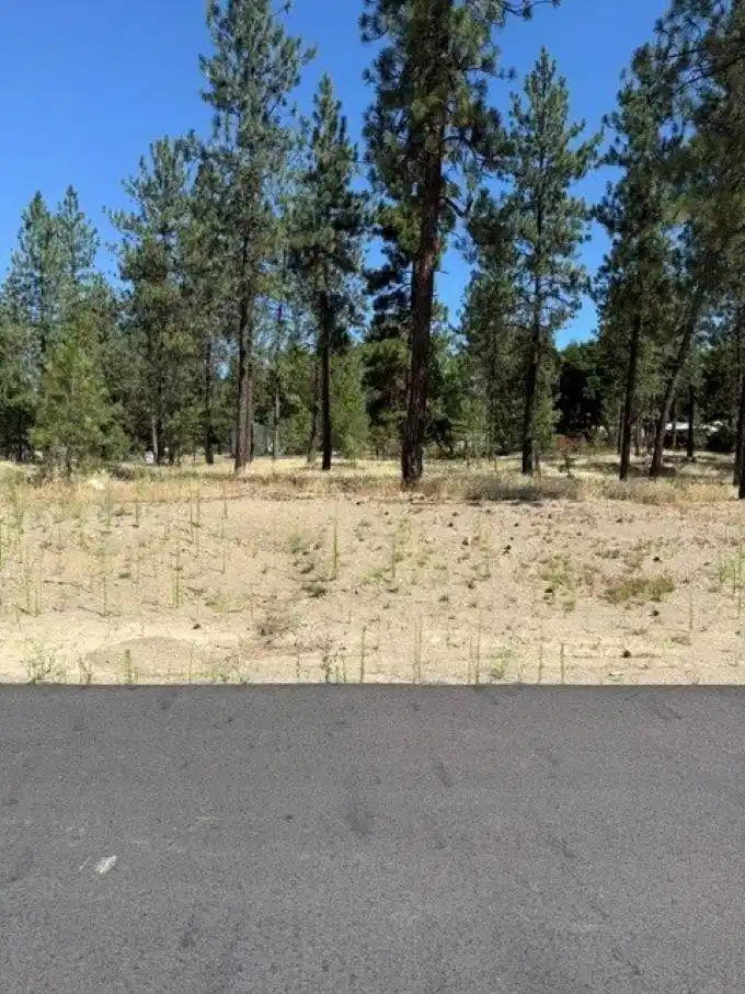 Image 1 Image 1