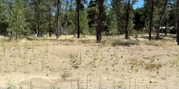 Lot 13 Long Lake Estates Est