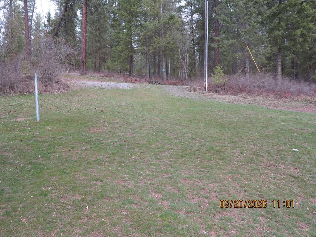 Image 4 Image 4
