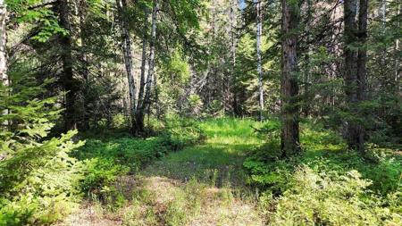 238 Rustic Rd