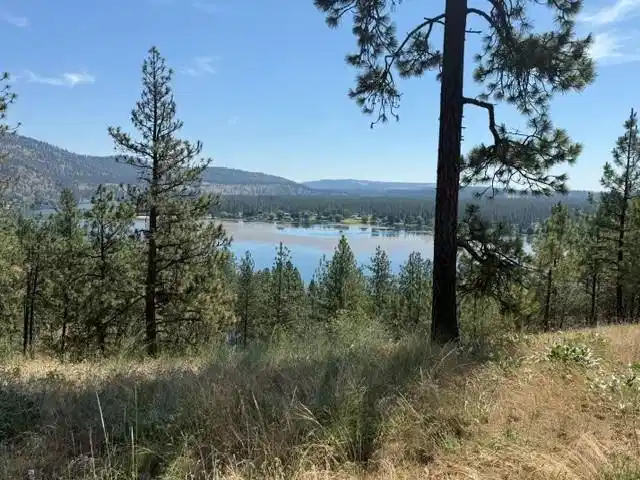 Image 1 Image 1