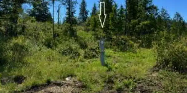 Image 4 Image 4