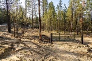 1477 K College Ln