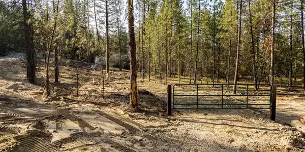 1477 K College Ln