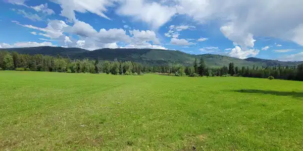391995 Hwy 20 Hwy