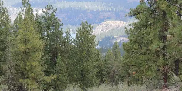 Timber Bay Ranch Lot 44