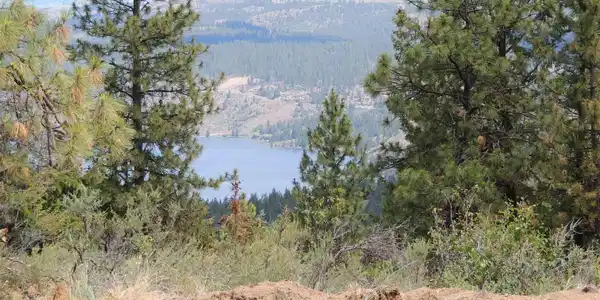 Timber Bay Ranch Lot 47