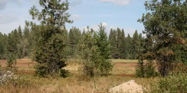 00 Little Sweden Rd