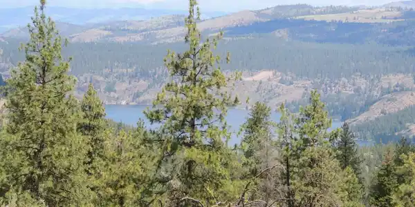 Timber Bay Ranch Lot 48