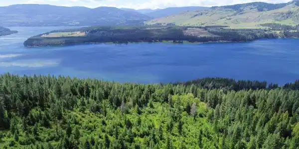 18X-Lot 4 N 25 Hwy