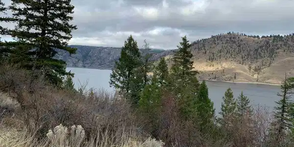 39560 Sterling Valley N