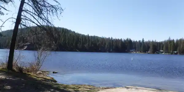 xx Davis Lake Rd