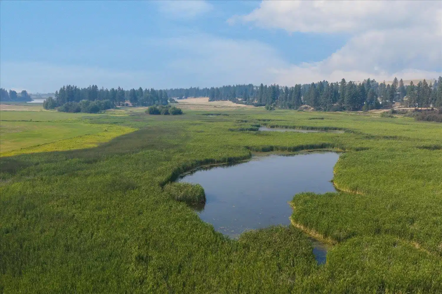Image 1 Image 1