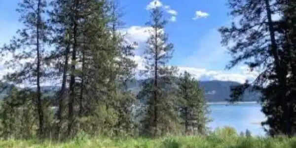 Lot 2 Kifer Spur Rd