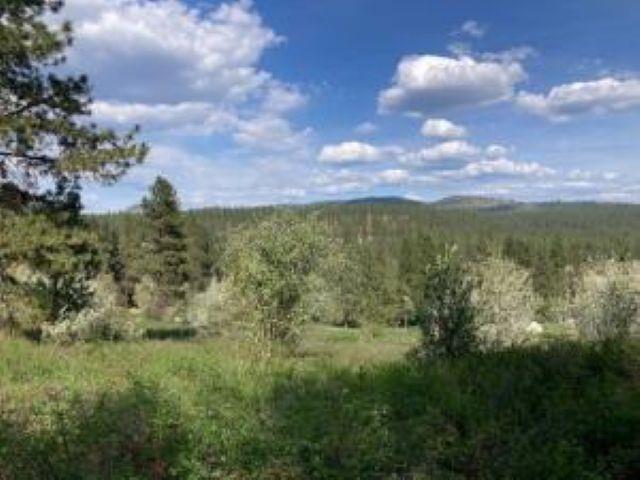 Image 3 Image 3