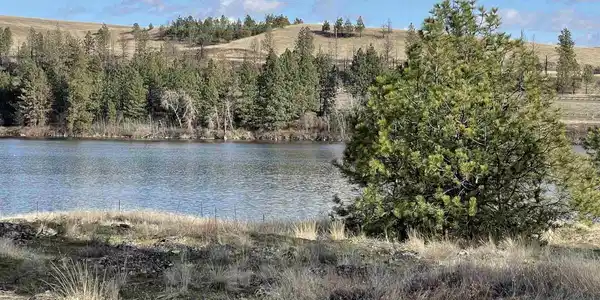 12000 S Meadow