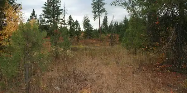 000 Little Sweden Rd